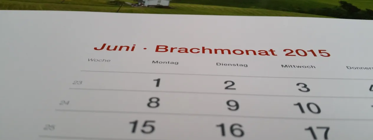 Kalender (Foto: Werner Näf) Kalender (Foto: Werner Näf)